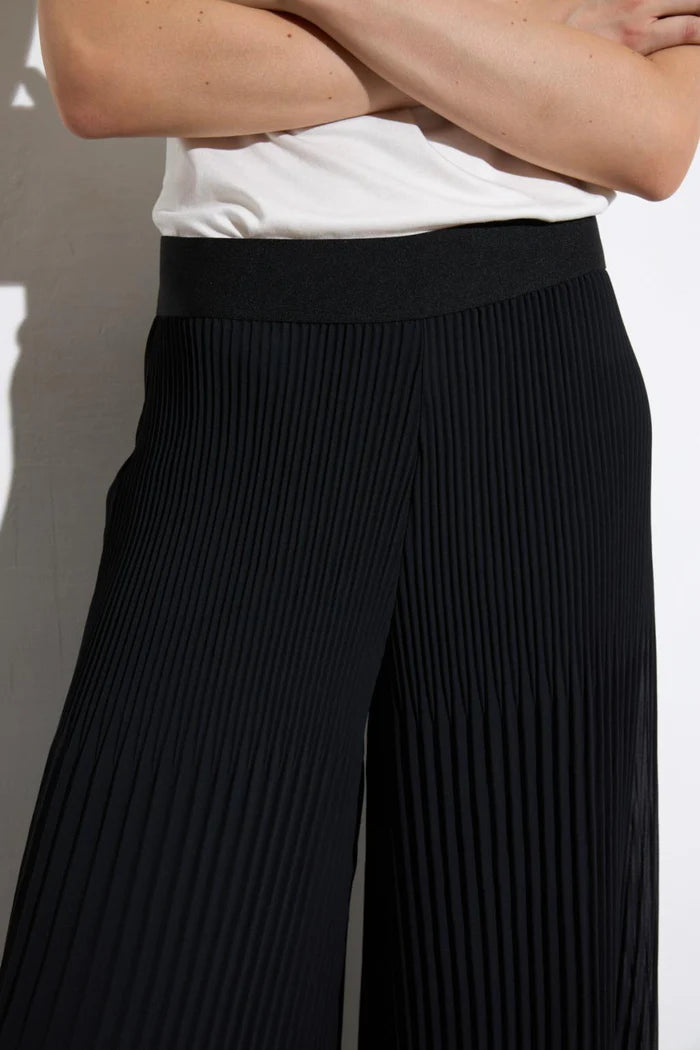 Tinta & Bariloche Black Wide Leg Pleated Trousers Musa