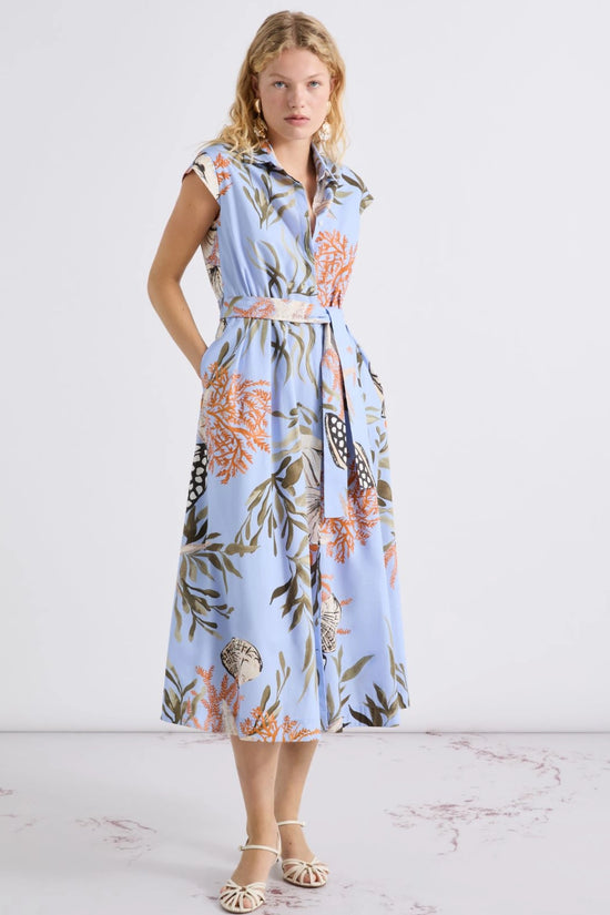 Marella Light Blue Shell & Leaf Print Stretch Cotton Shirt Dress MLLPADANA