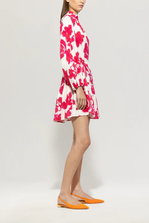 Luisa Cerano rose print mini dress 718572