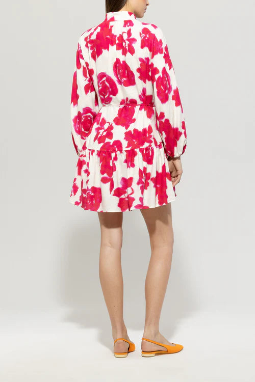 Luisa Cerano rose print mini dress 718572