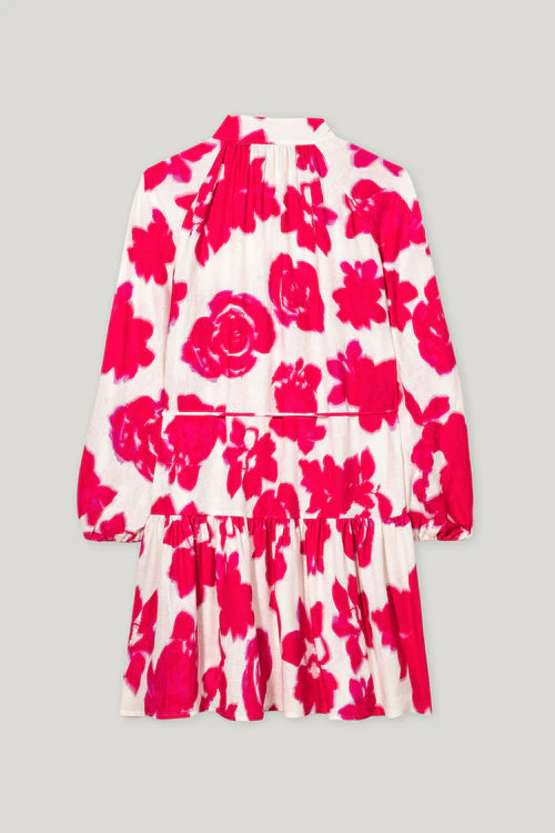 Luisa Cerano rose print mini dress 718572