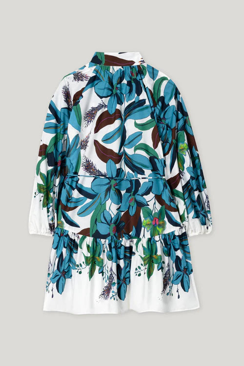 Luisa Cerano print mini dress 718572
