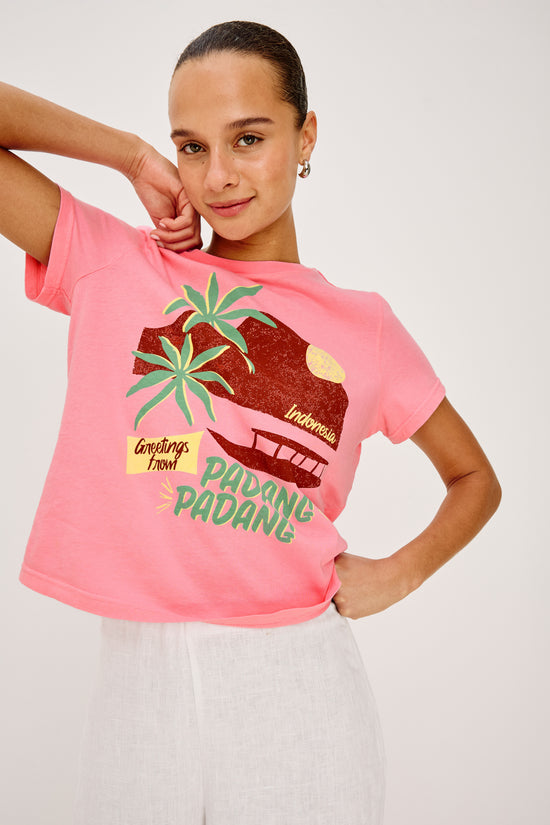 Rails Pink Padang Crew Neck Short Sleeve T-Shirt 813-397-8663