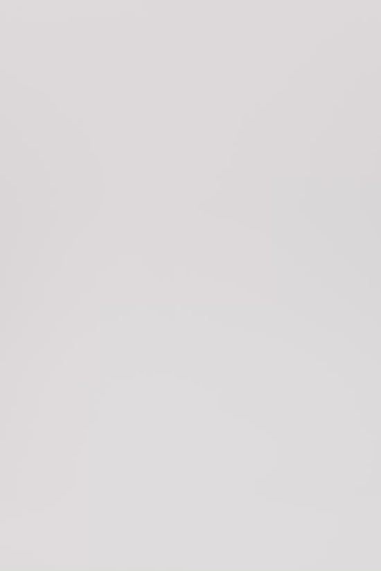 Luisa Cerano Ivory Maxi Skirt with Daisy Flowers 538328