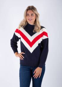 Jane Young Gant, blue chevron sweater