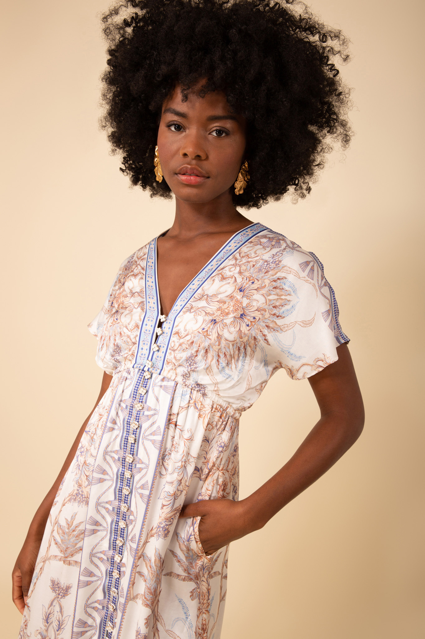 Hale bob deals magda dress